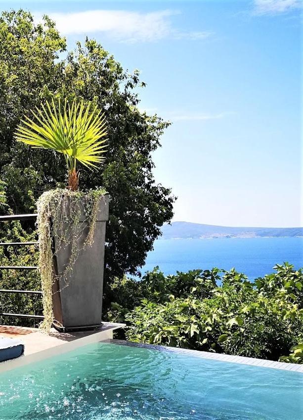 Art Gallery House With A Small Relaxing Pool Цриквеница Экстерьер фото